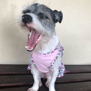 Meet your Posher, Jocelyn